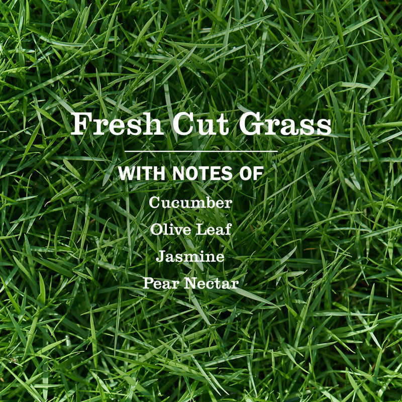 Mrs. Meyer's Fresh Cut Grass Liquid Hand Soap 3-count Bundle 
