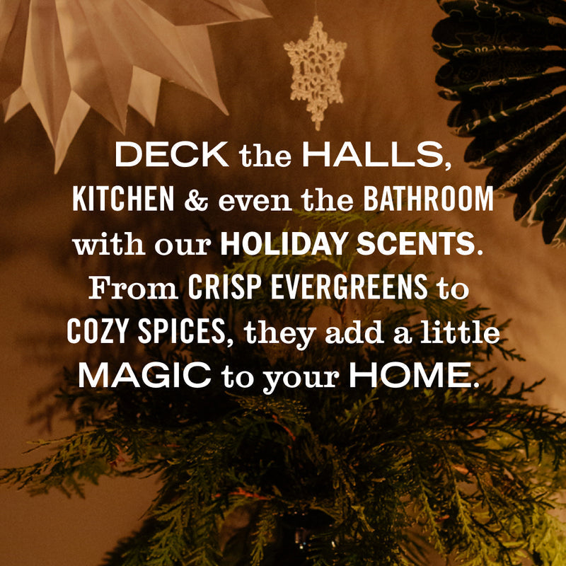 Mrs. Meyer's Holiday Seasonal Hand Soap Collection
